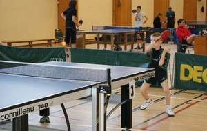 LUCAS GILBERT
(poussin)